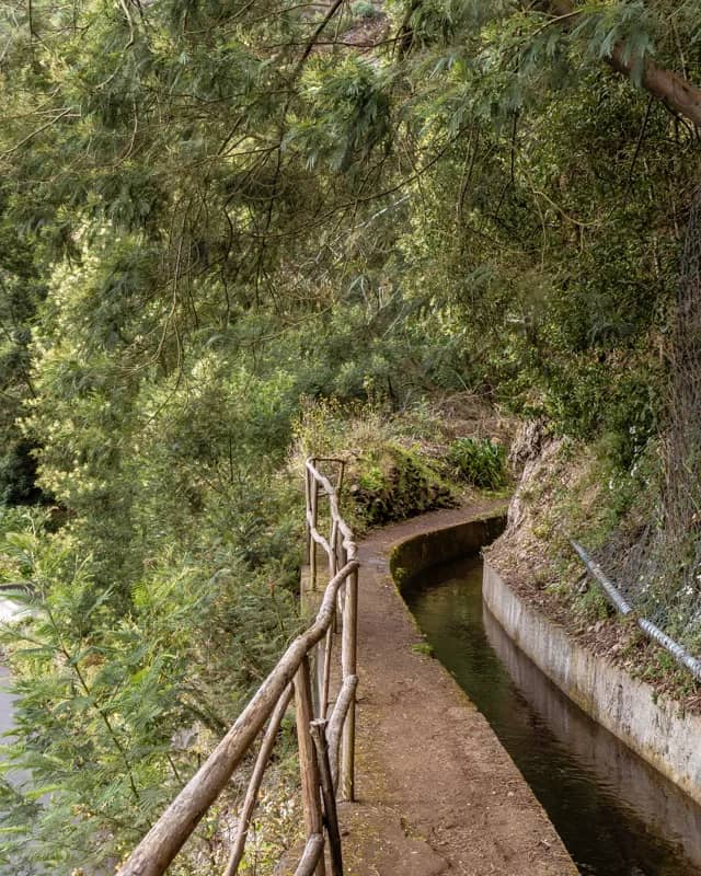 Interesting Bridge