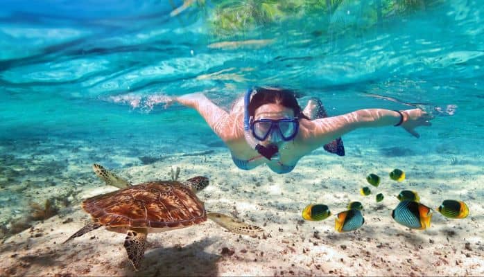 Snorkeling and Beaches