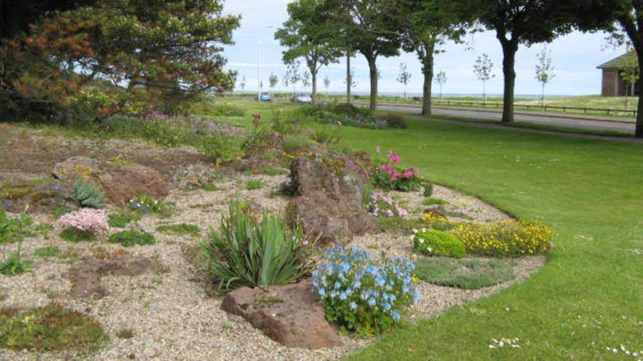 Wildlife Haven