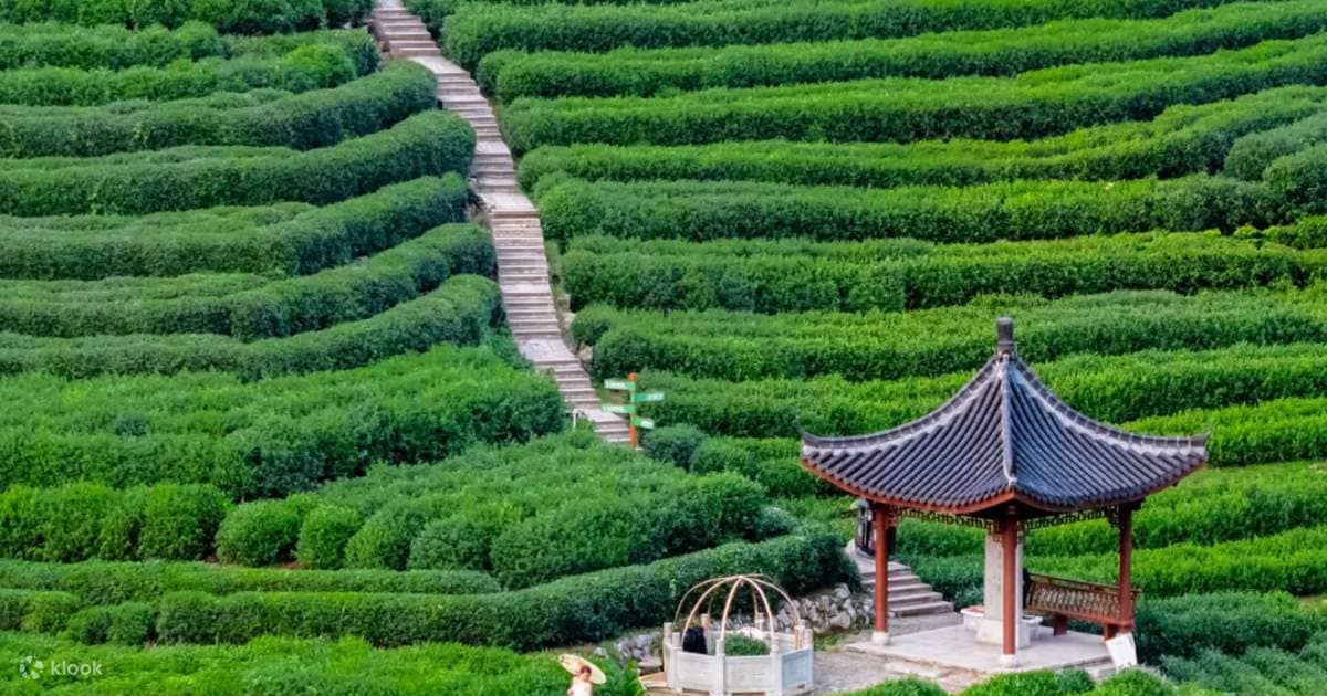 Tea Tasting & Souvenirs