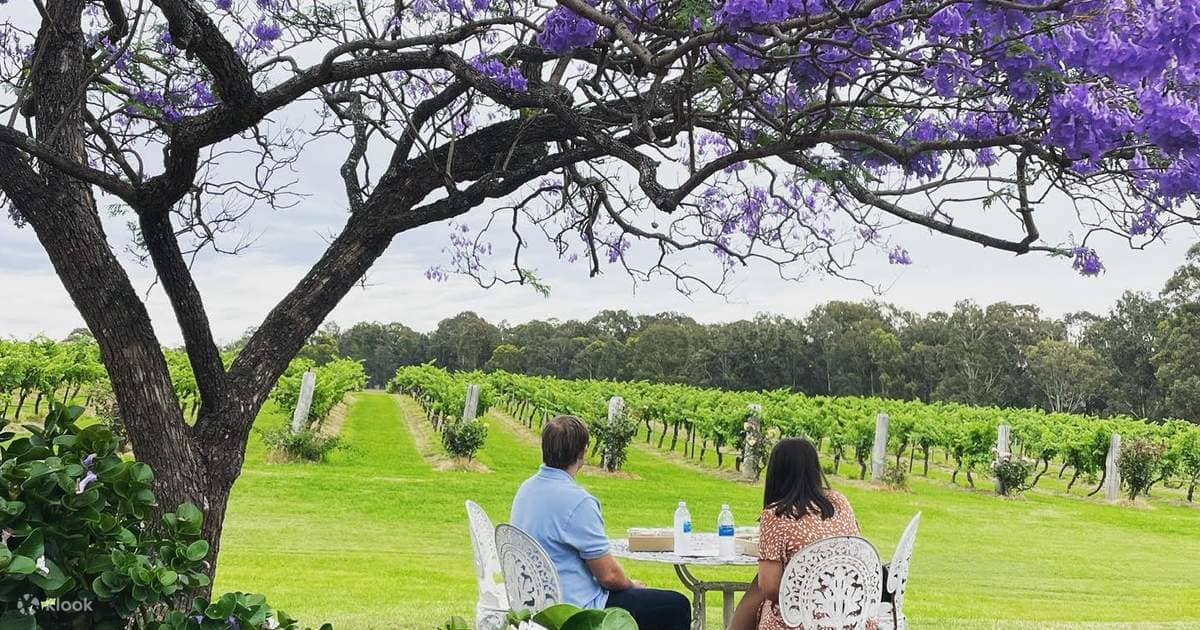 Idyllic Vineyard Views