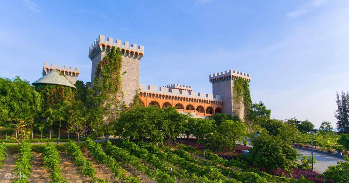 Wine Tasting Experience