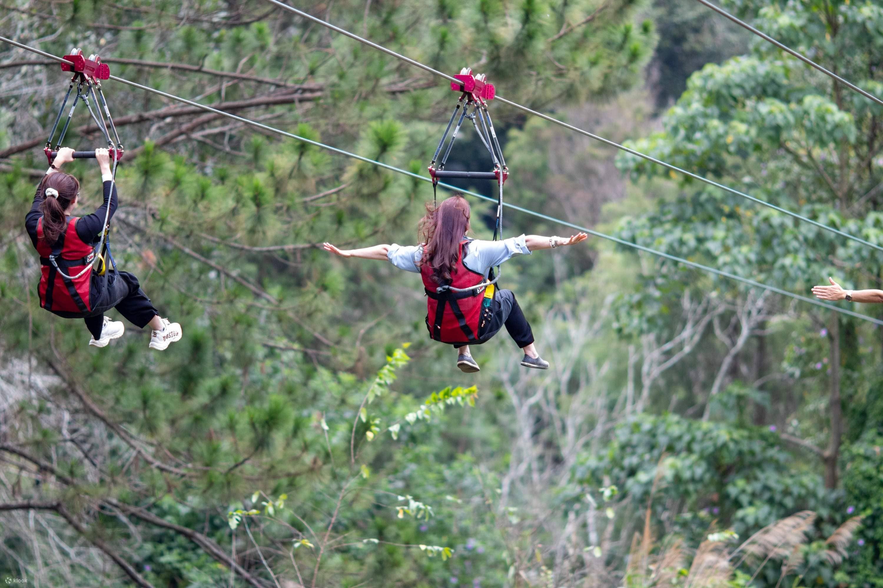 Ziplining Adventure
