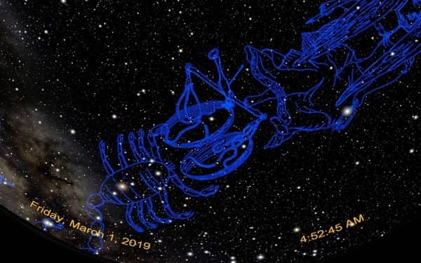Star Shows & Celestial Exploration
