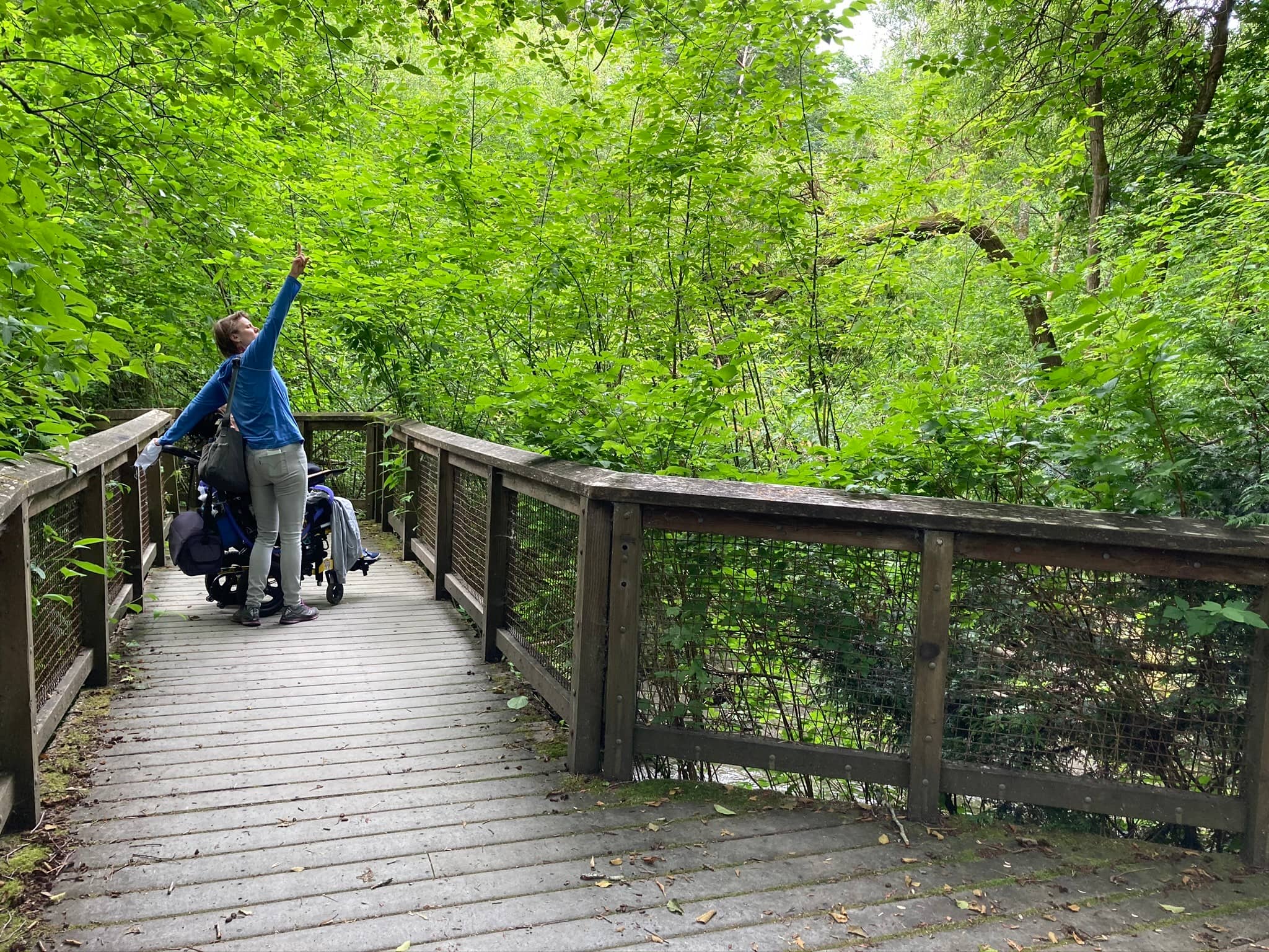 Piper's Creek Trail