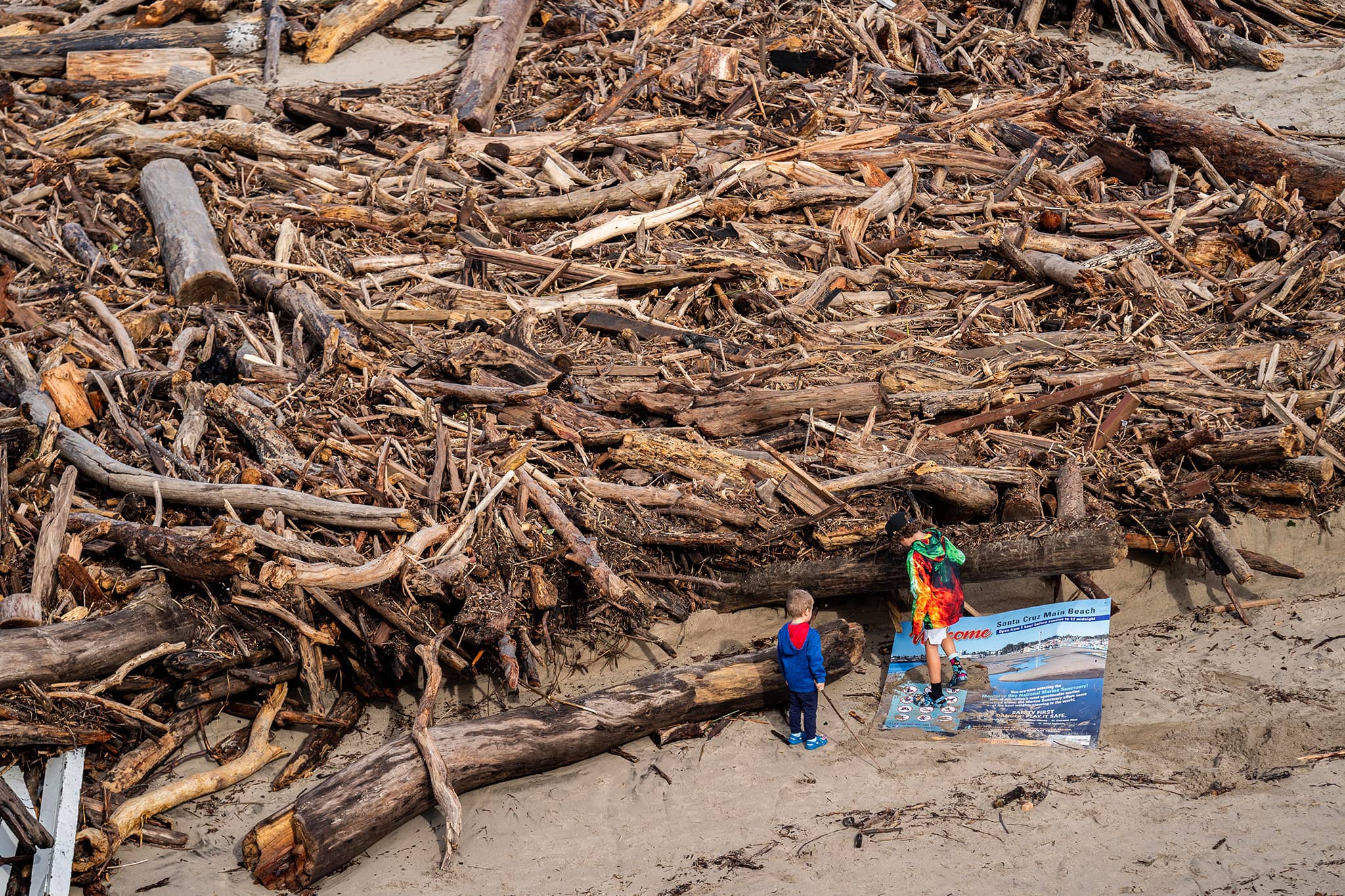 Driftwood & Beachcombing