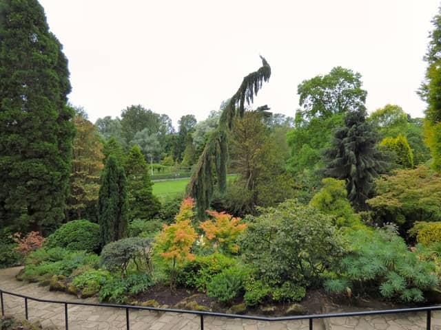 Wetlands and River Walk