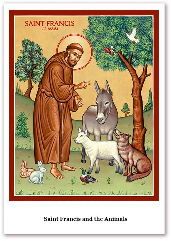 Patron Saint of Animals