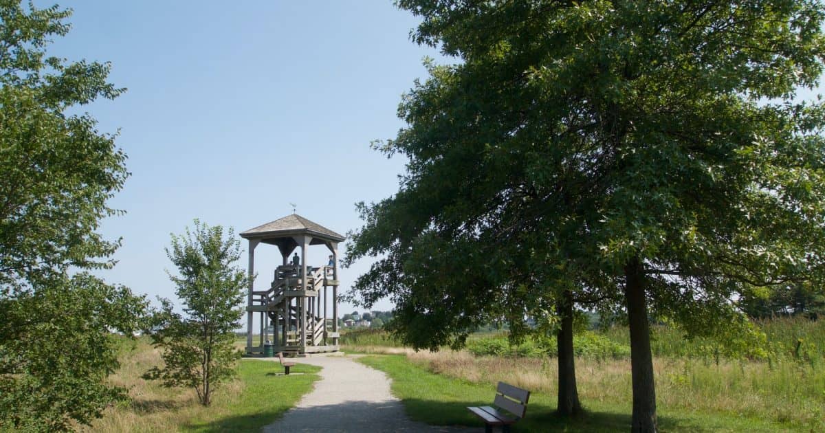 Observation Tower