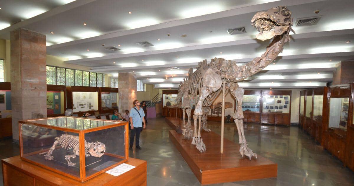 Natural History Collection