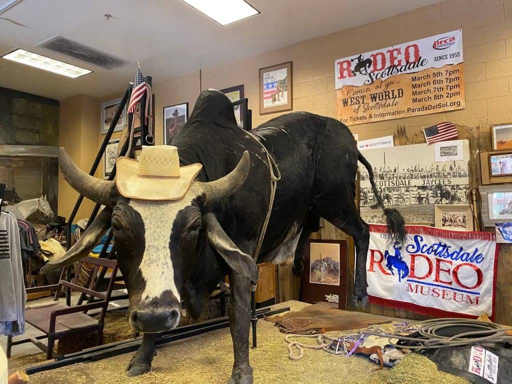 Historic Rodeo Artifacts