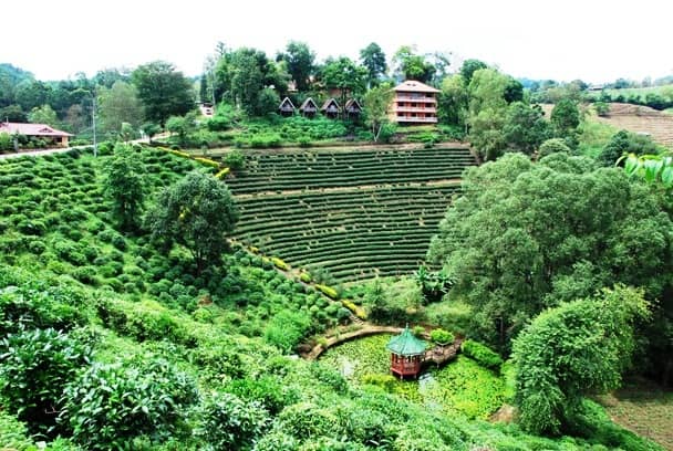 Royal Visit Site