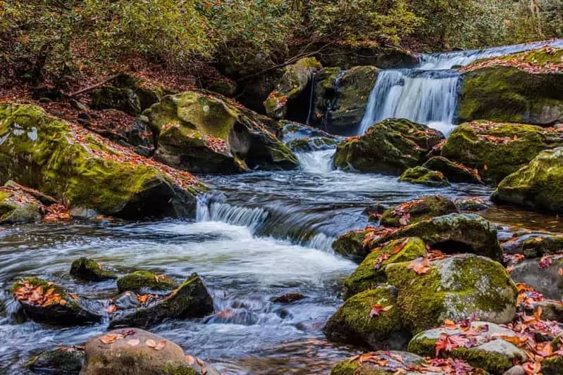 Tremont Road Scenic Drive