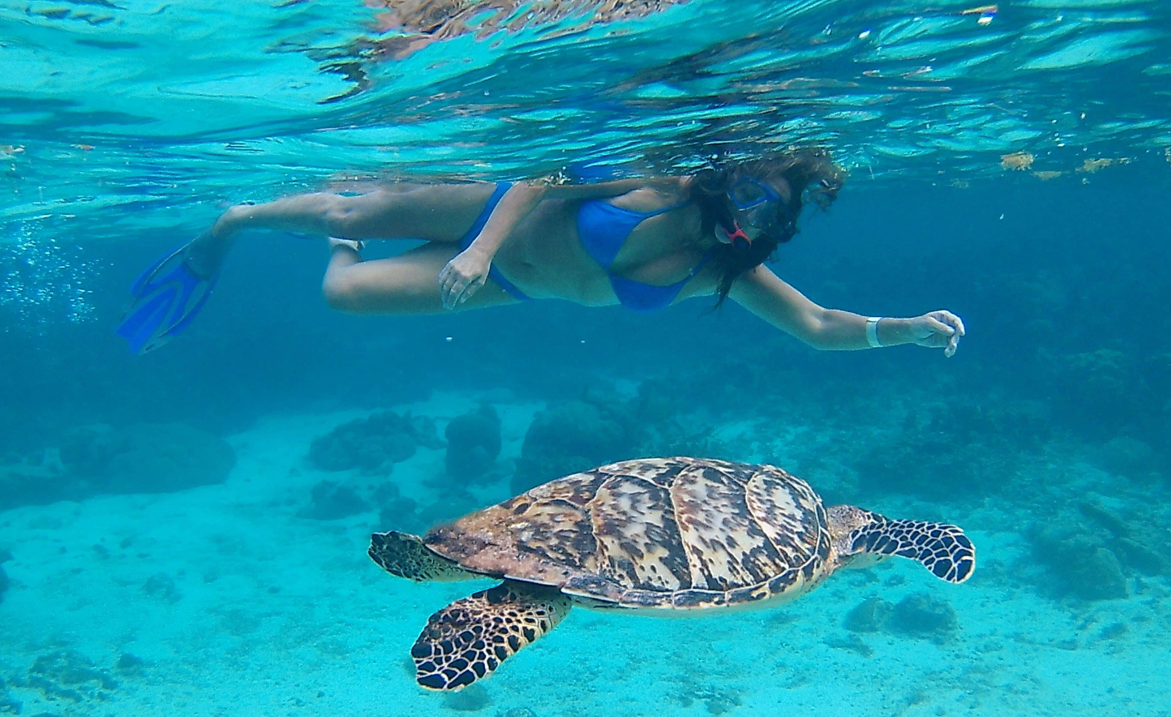 Snorkeling Adventures