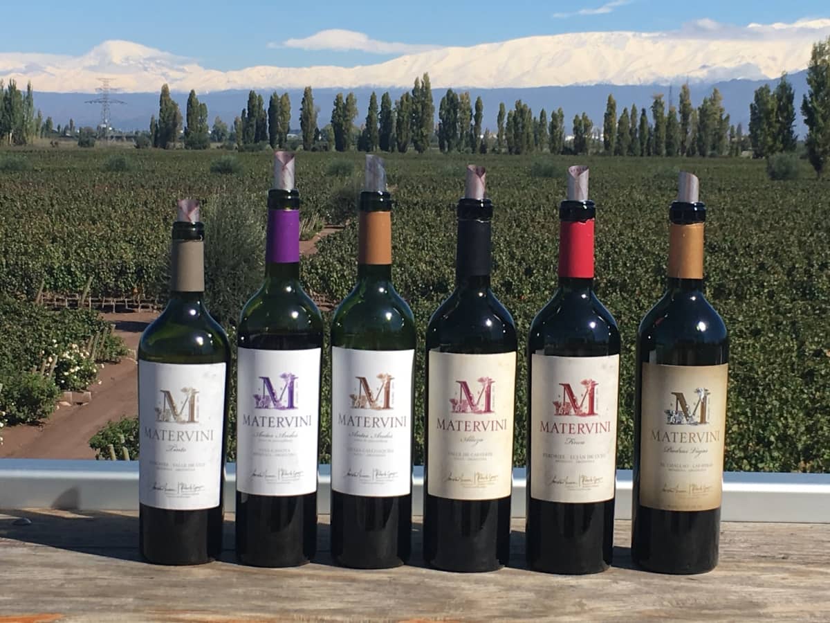 Santiago Achaval's Vineyard