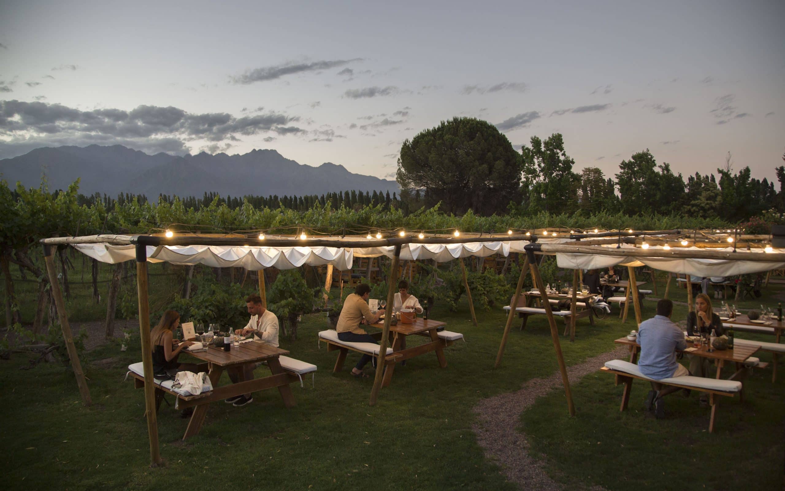 Informative Wine Tours & Tastings