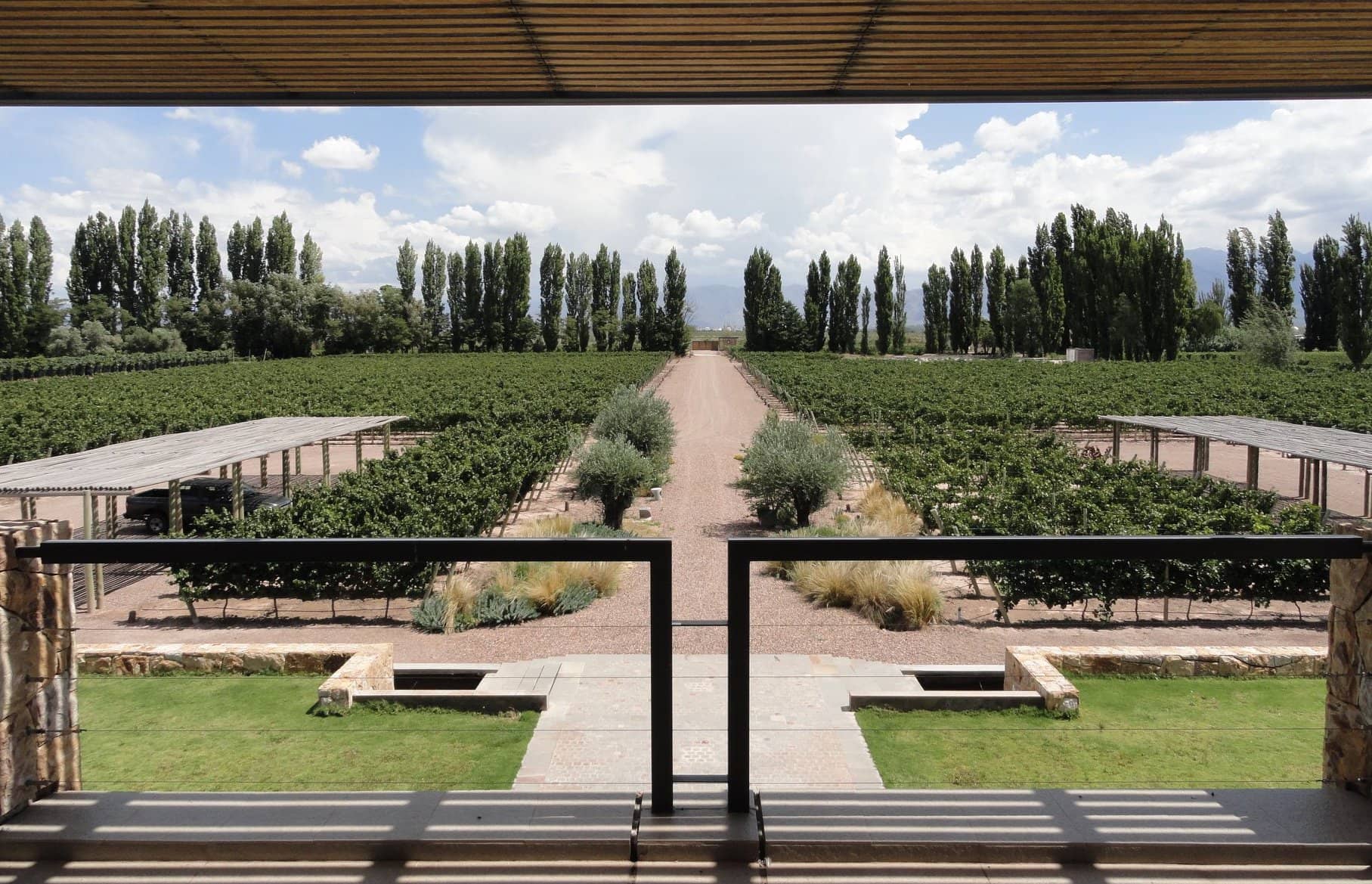 Informative Winery Tour