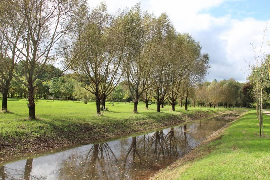 Network of Paths & Canals