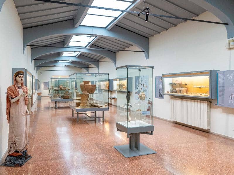 On-site Museum Exhibition