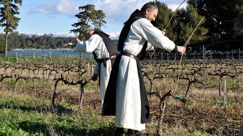 Vineyards & Wine Tasting