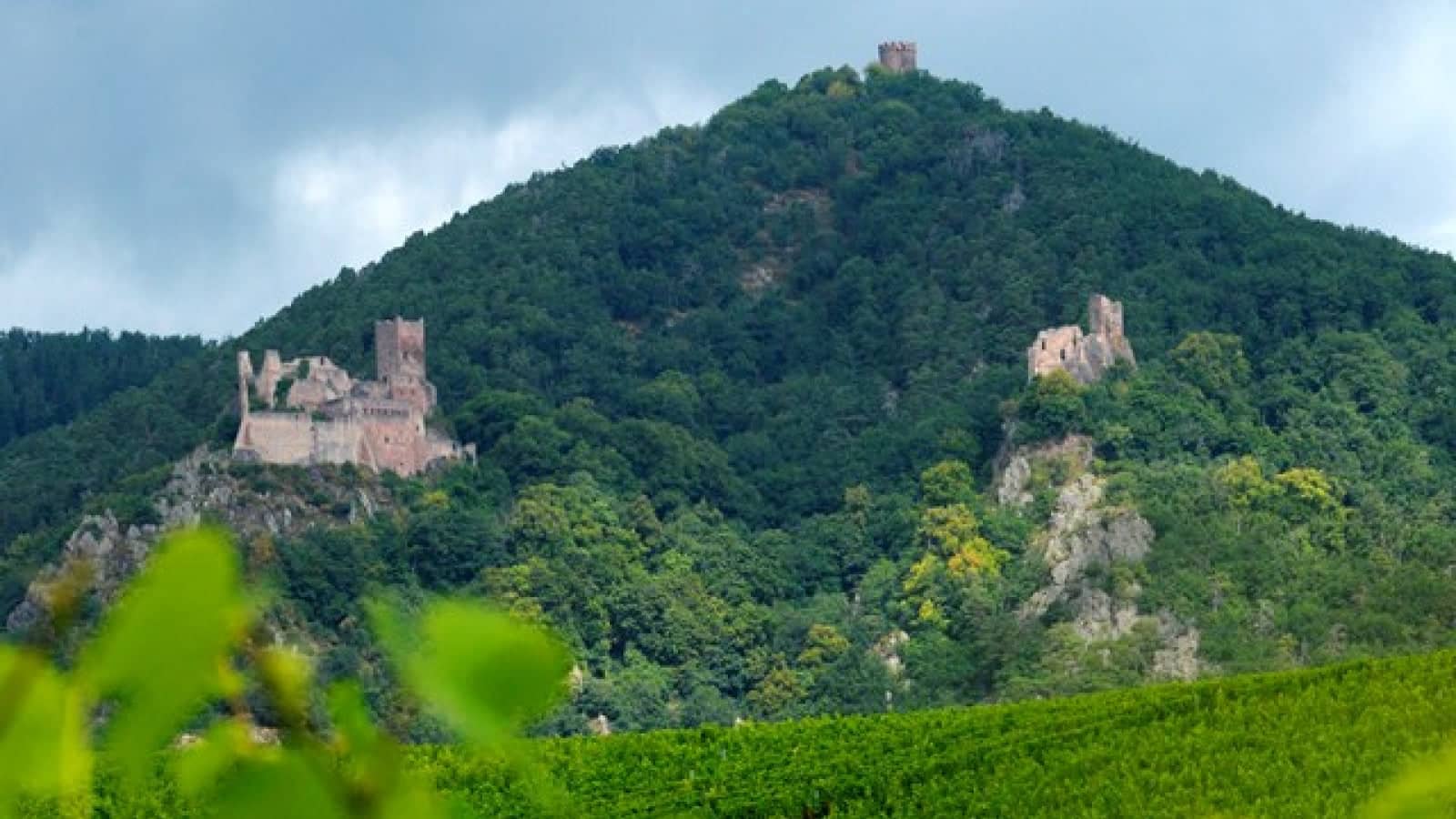 Three Medieval Castles