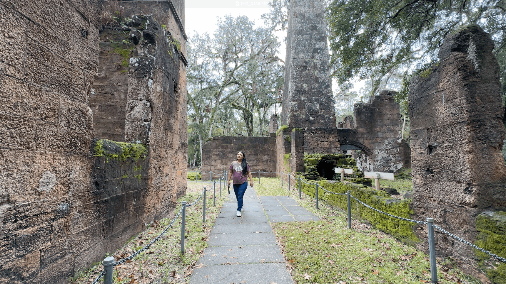 Dummitt Plantation Ruins