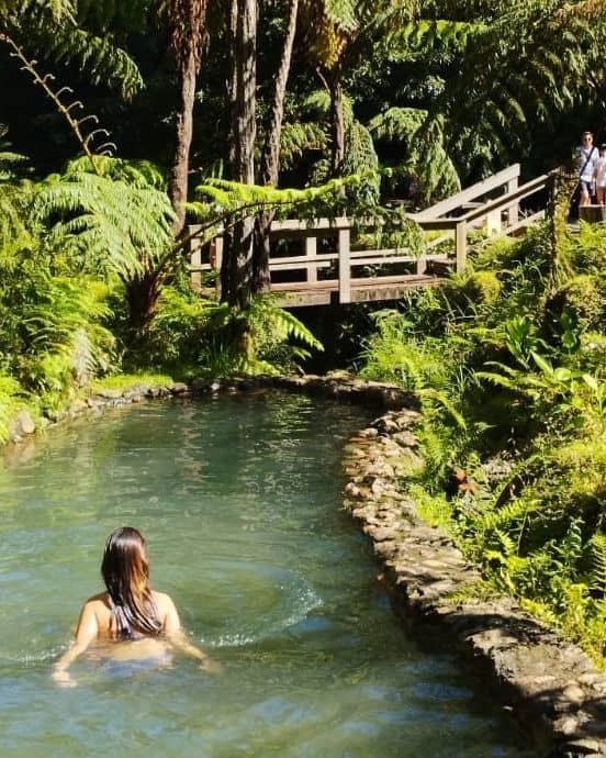 Lush Tropical Vegetation