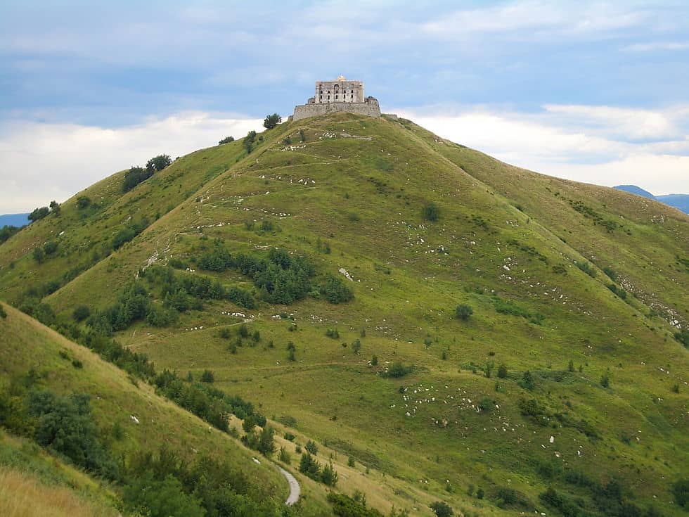 Nature Within the City