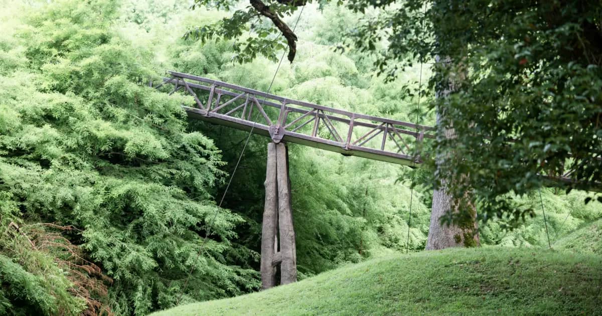 Giant Trees Collection