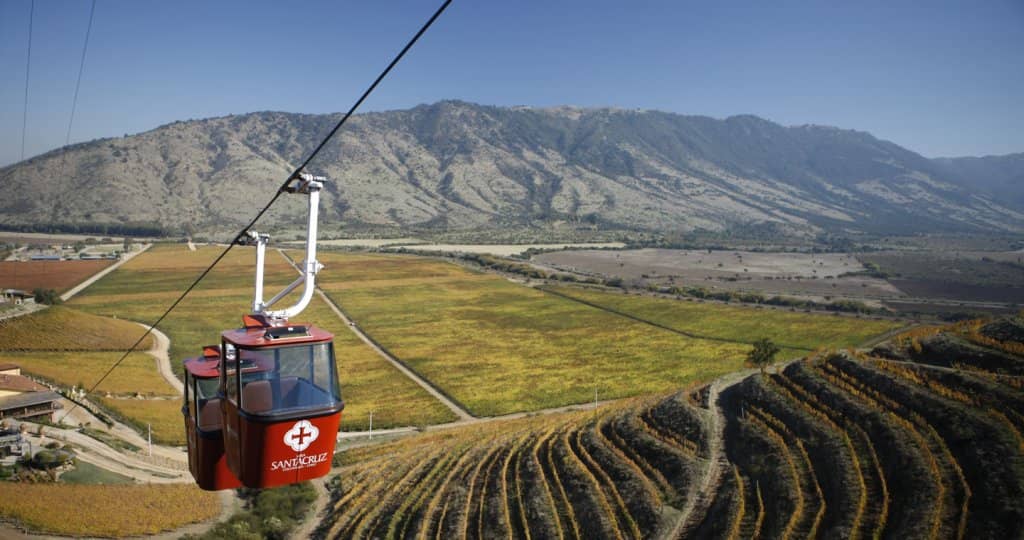 Wine Tasting & Vineyard Tour