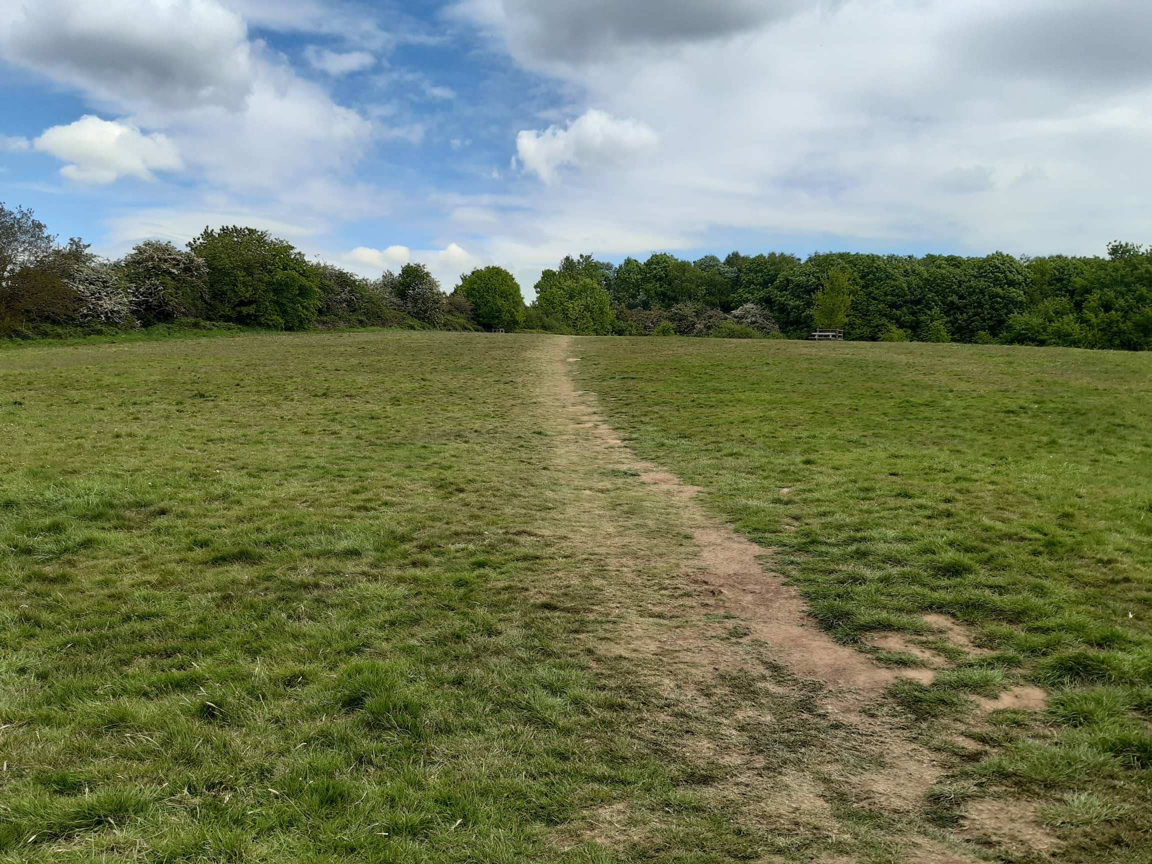 Expansive Open Spaces