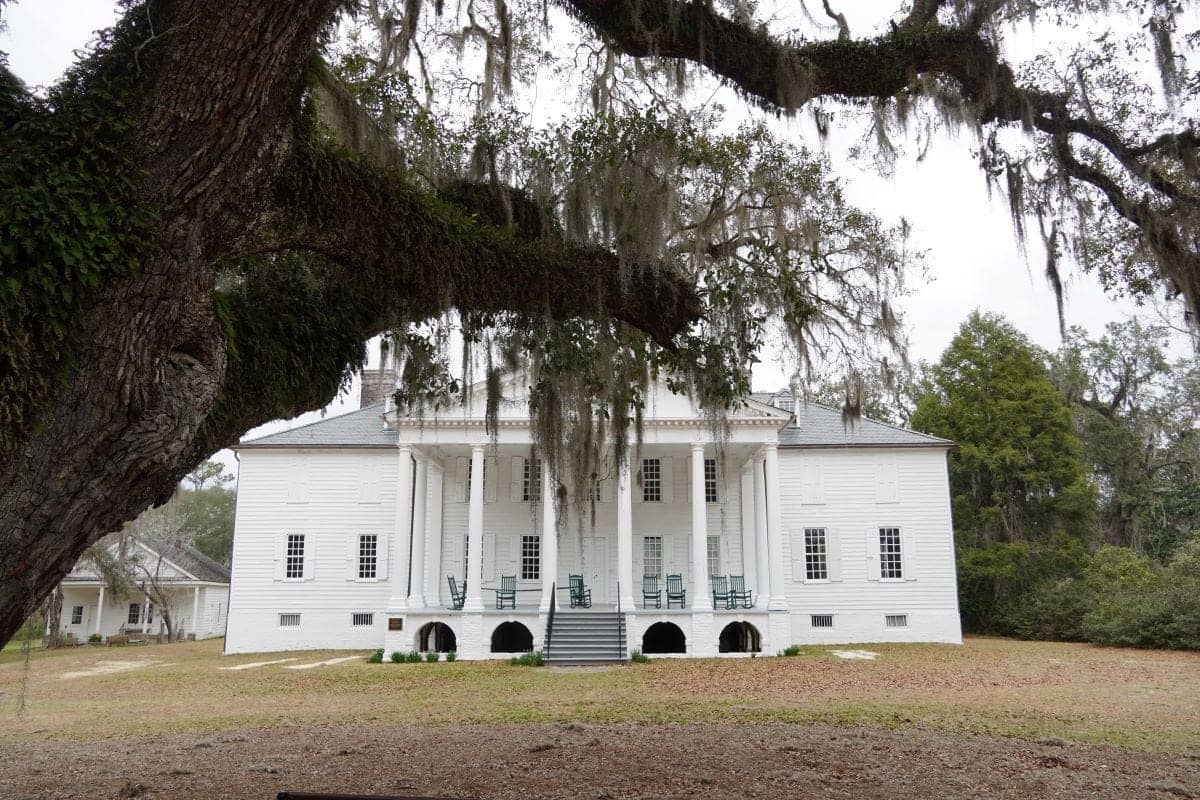 Washington's Oak