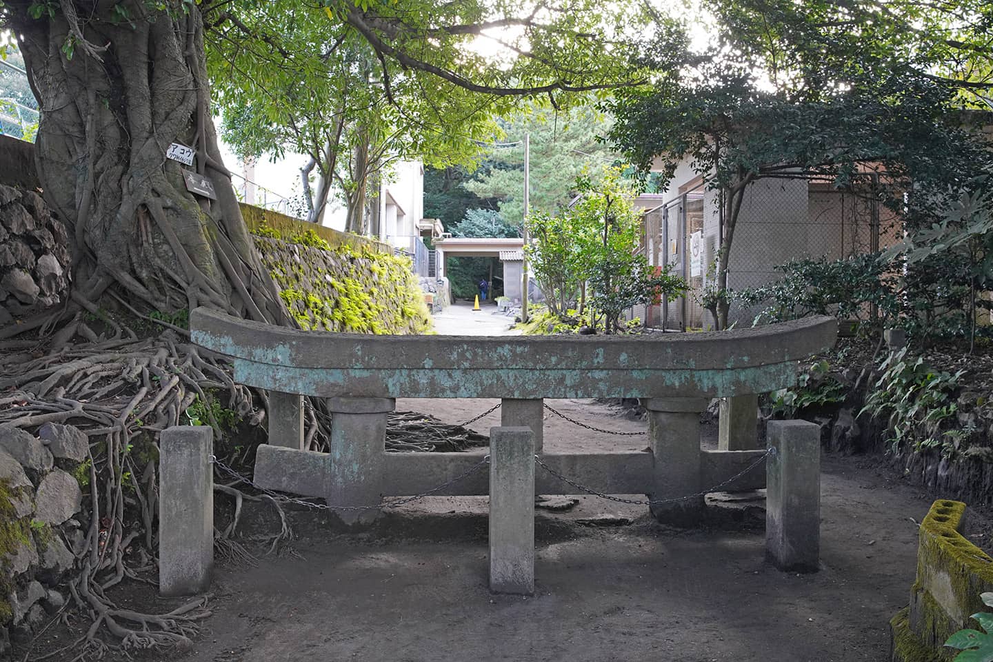 Eerie Forest Shrine