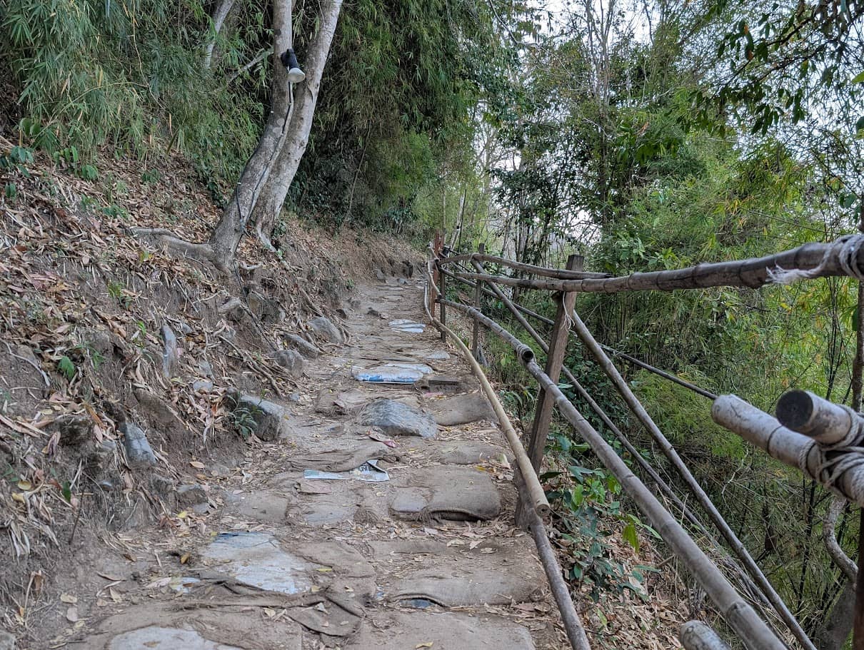 Jungle Trek & Steps