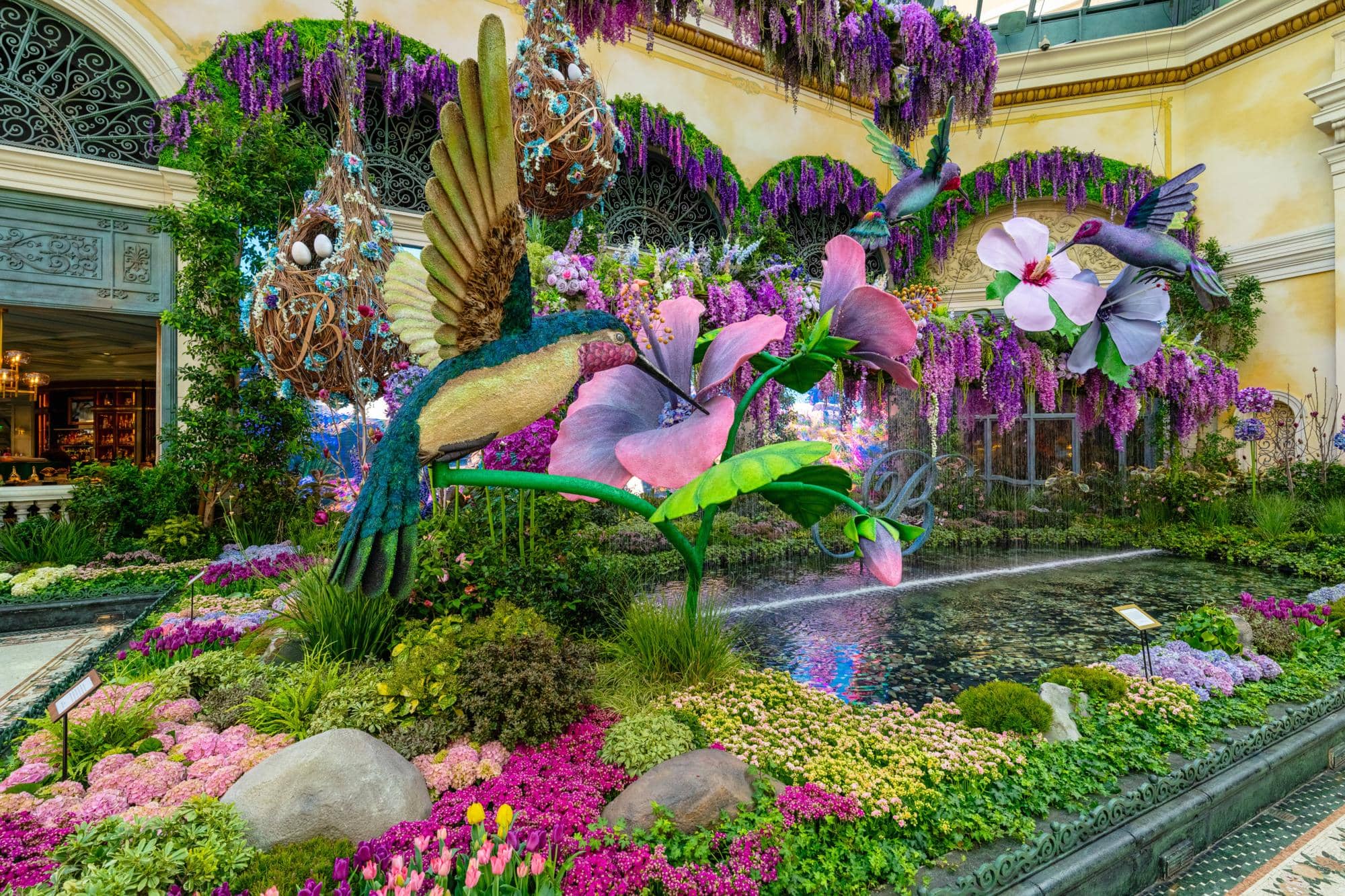 Conservatory & Botanical Gardens