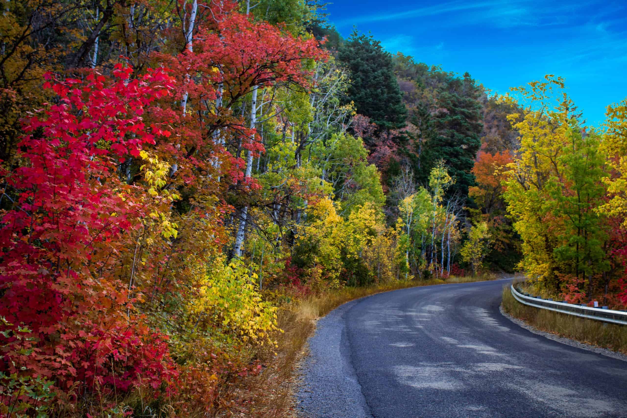 Alpine Loop Scenic Byway