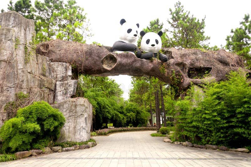 Adorable Pandas