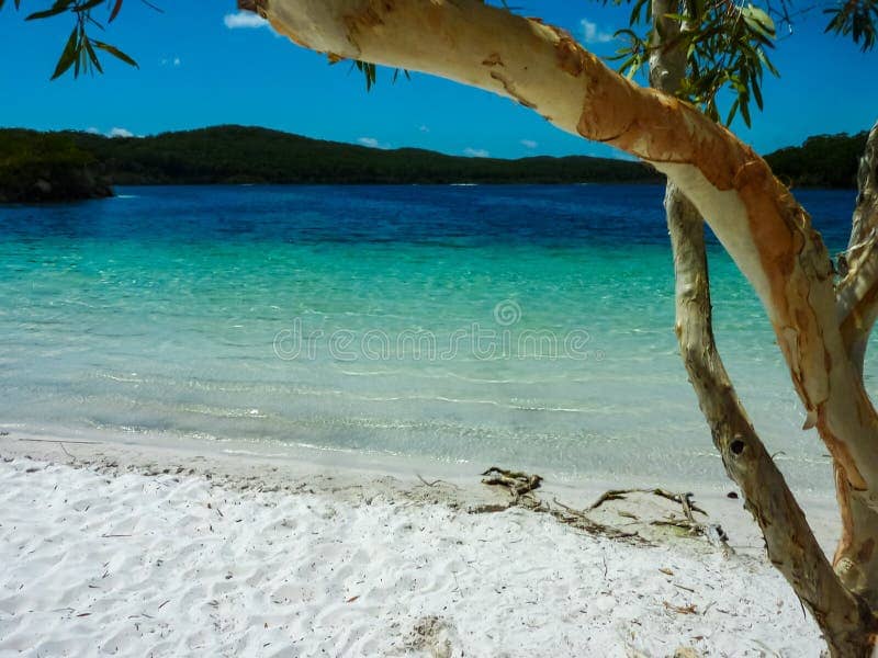 Pristine White Silica Sand