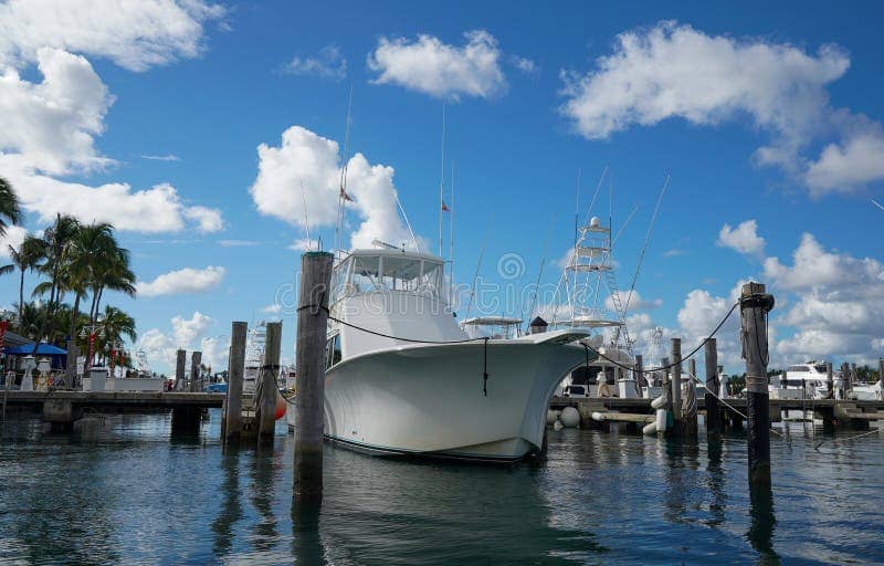 Sport Fishing & Boat Tours
