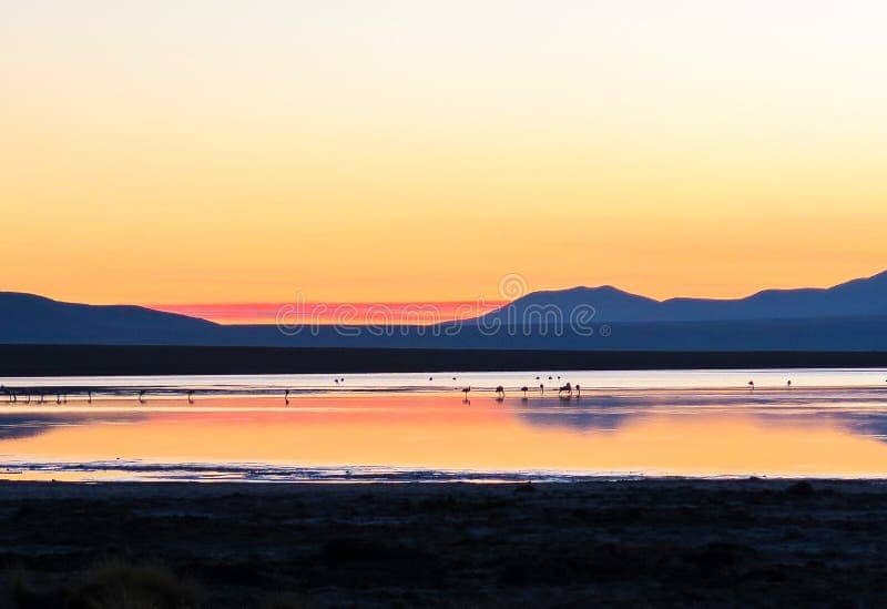 Sunrise Spectacle