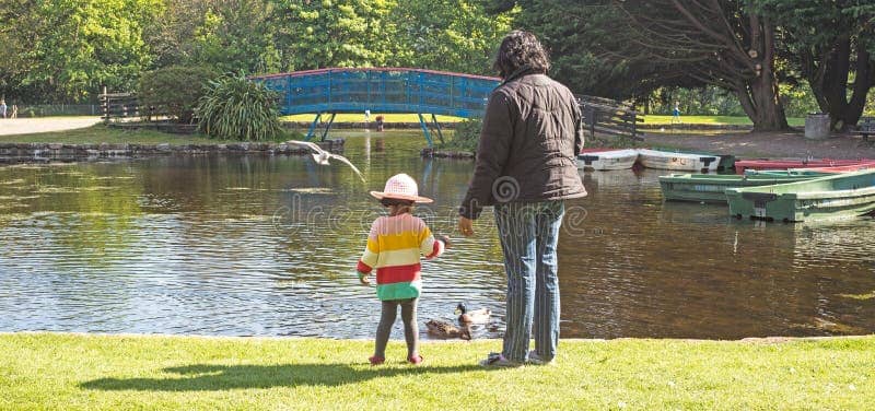 Duck Pond Serenity