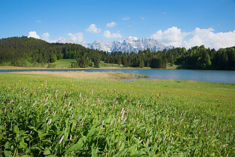 Wildflower Meadows