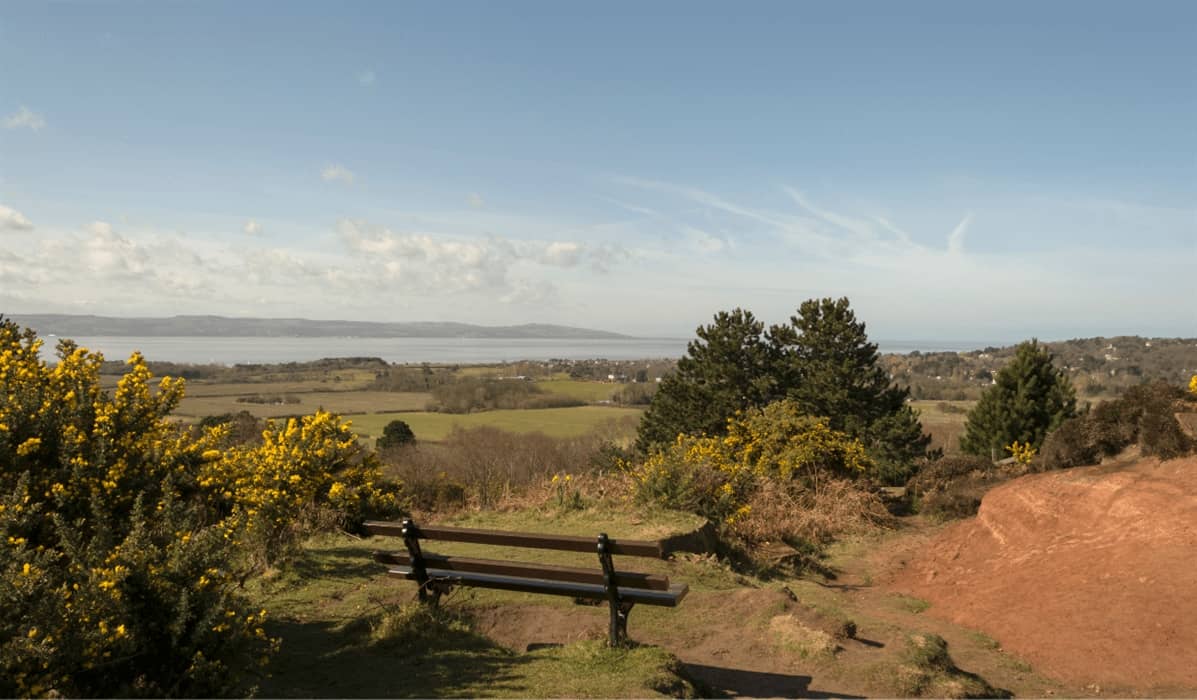River Dee Views