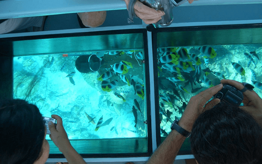 Glass Bottom Boat Tours