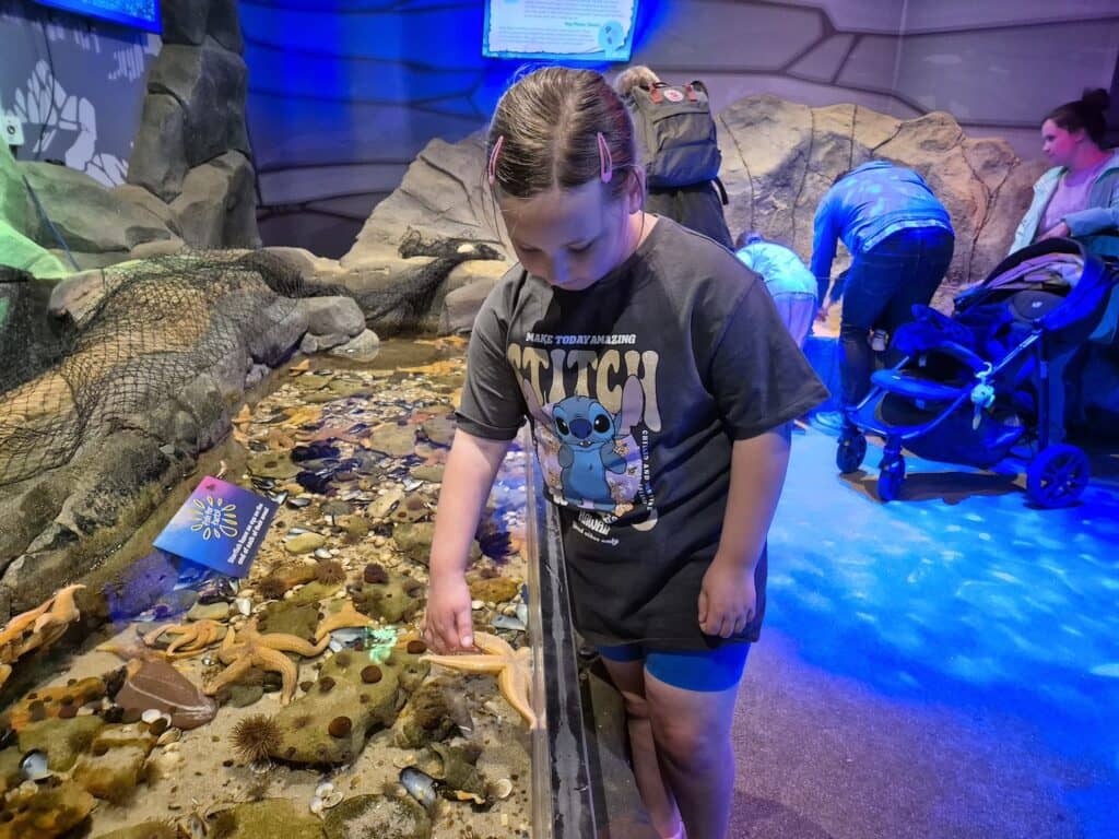 Interactive Rock Pools