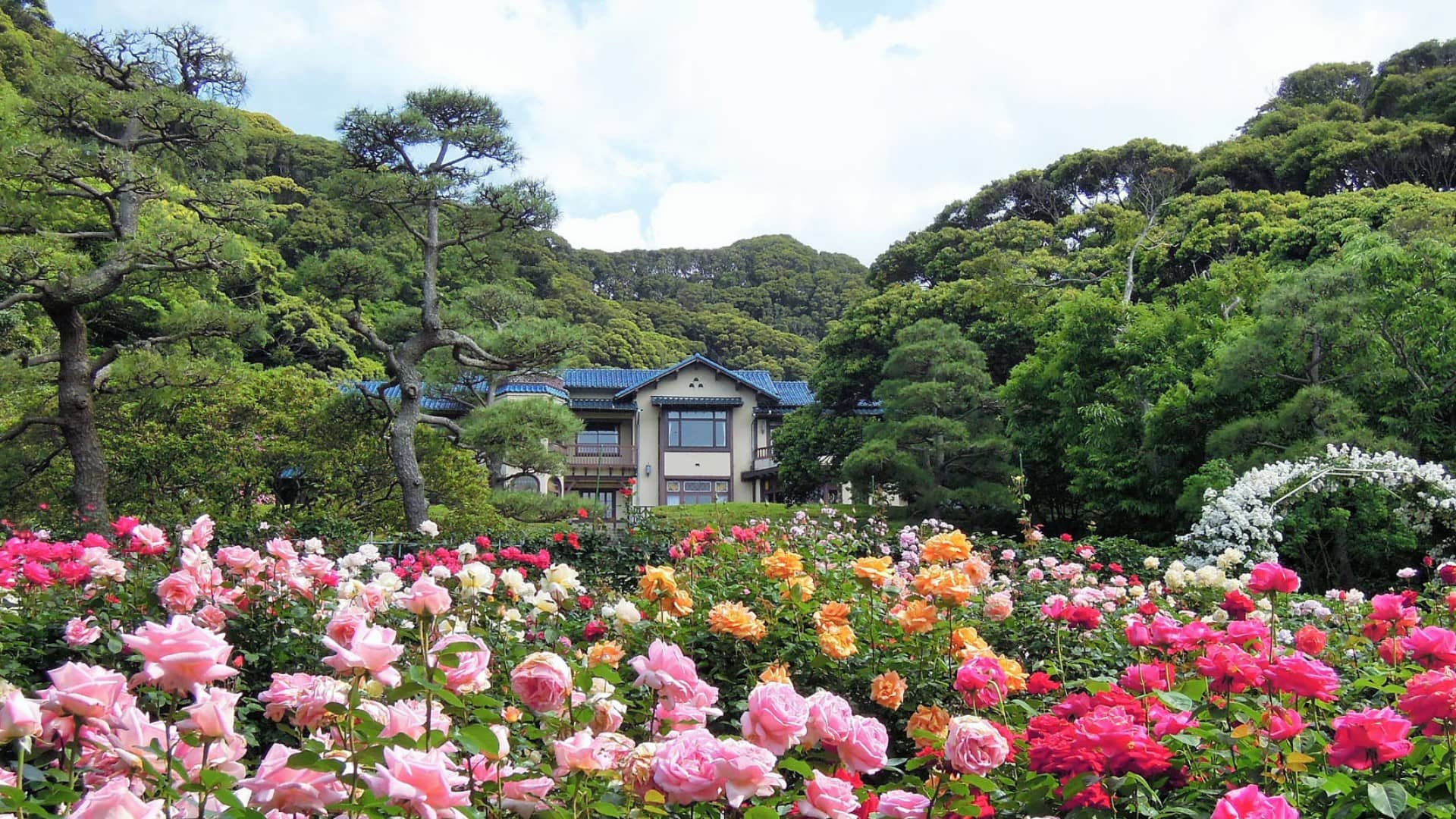 Rose Garden