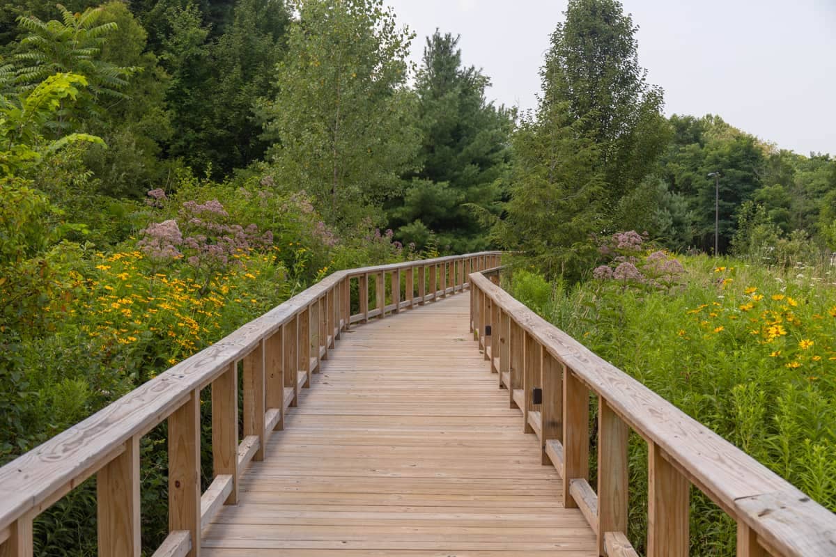 Wooded Walking Trails