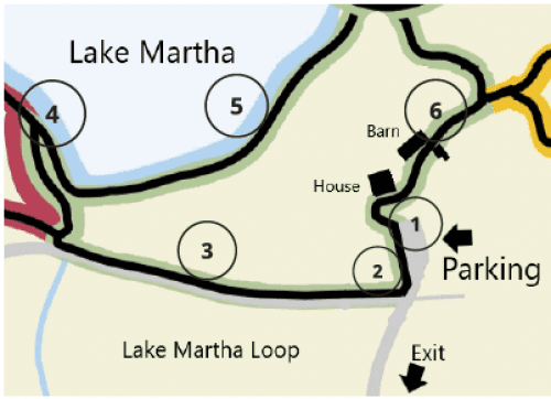 Scenic Lakefront Trails