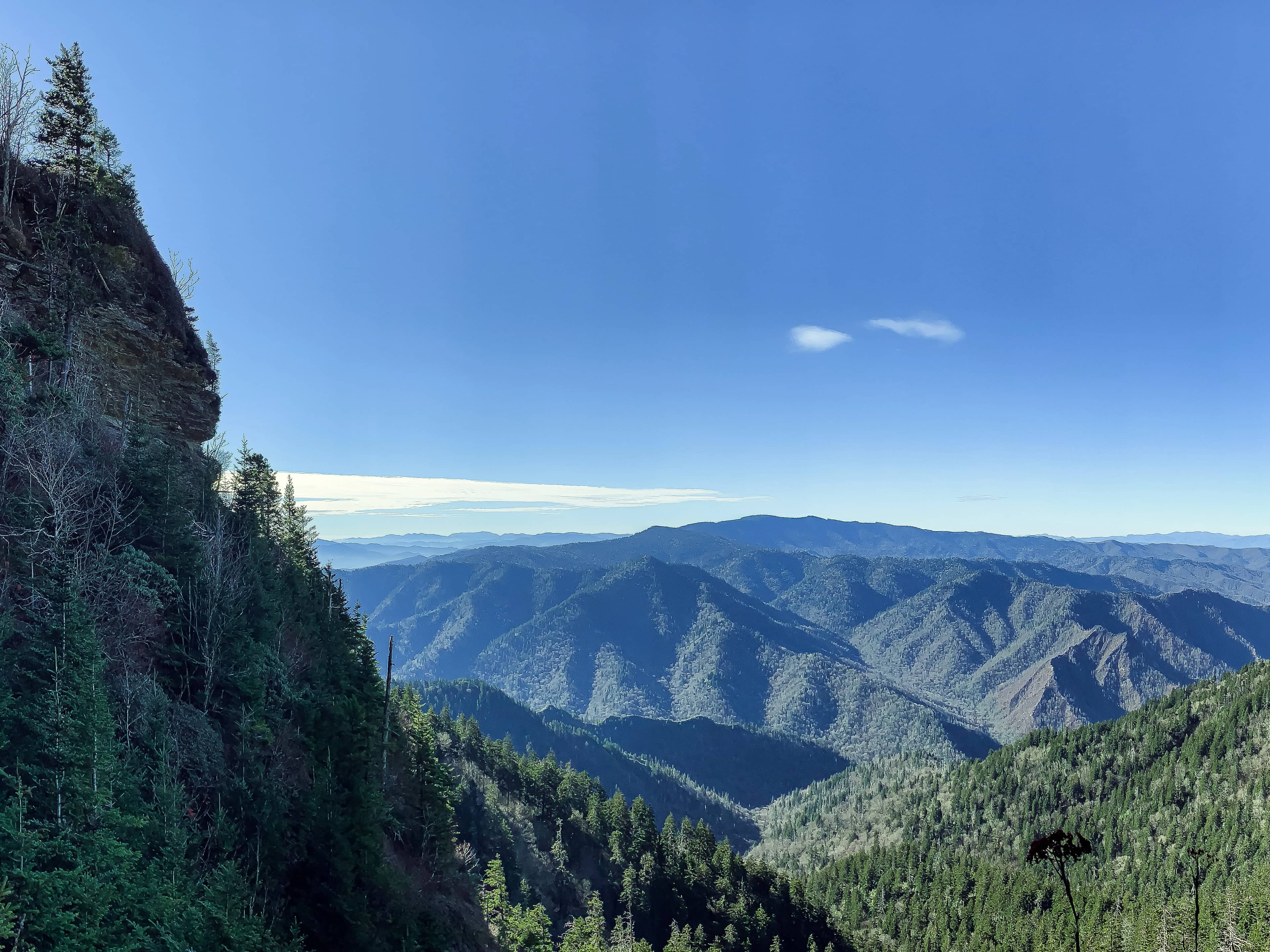 Overlook Views