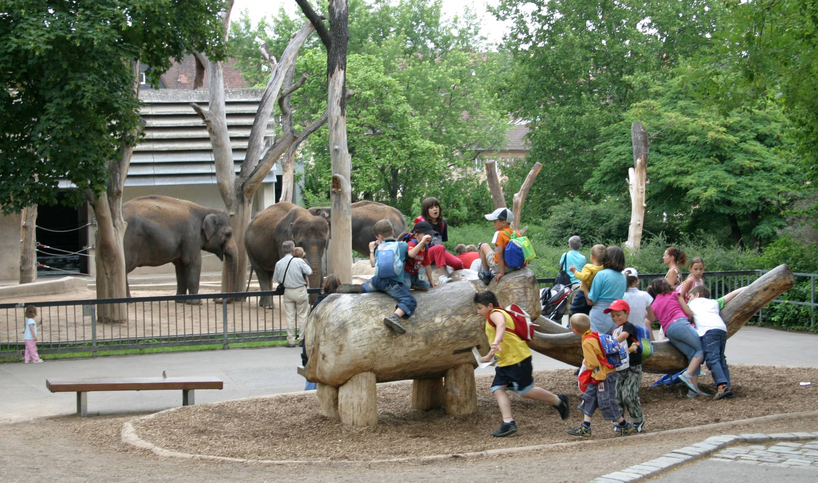 Elephant Enclosures
